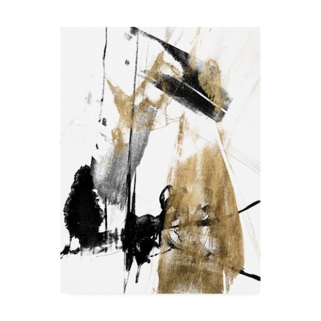 Jennifer Goldberger 'Glam And Black II' Canvas Art,35x47